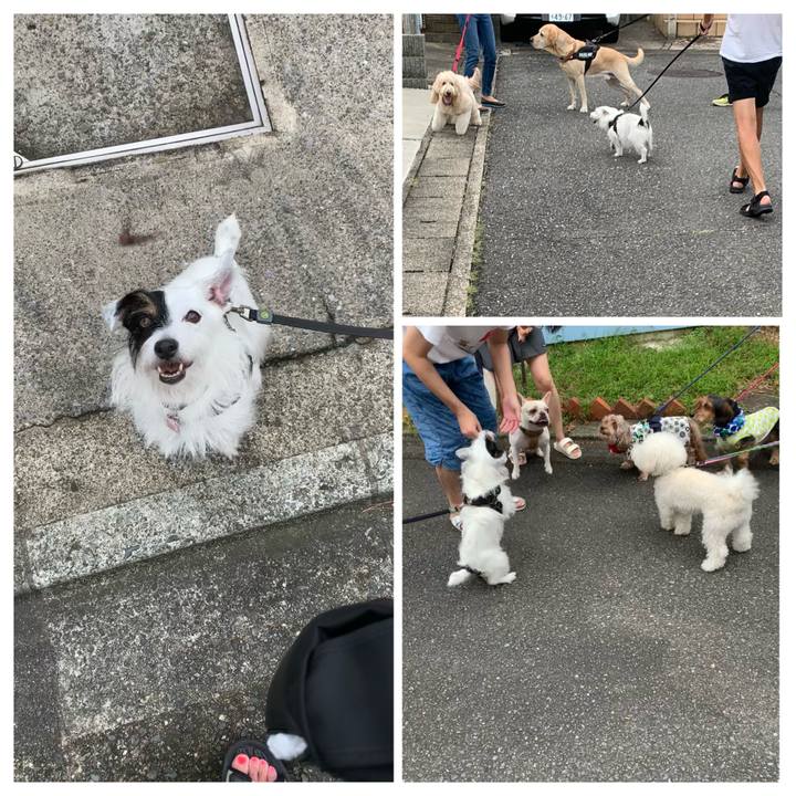 Ef8d68ae c866 43b4 b9c9 706ef24978e5 1660691692524