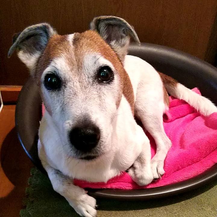 Ef8d8dc8 427b 4a8a 9710 bf48fee84559 1536015252219