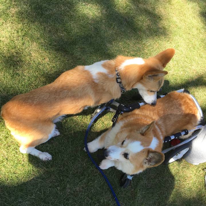 Ef8da52a 0ce9 4131 934b 0fab66826496 1540396378600