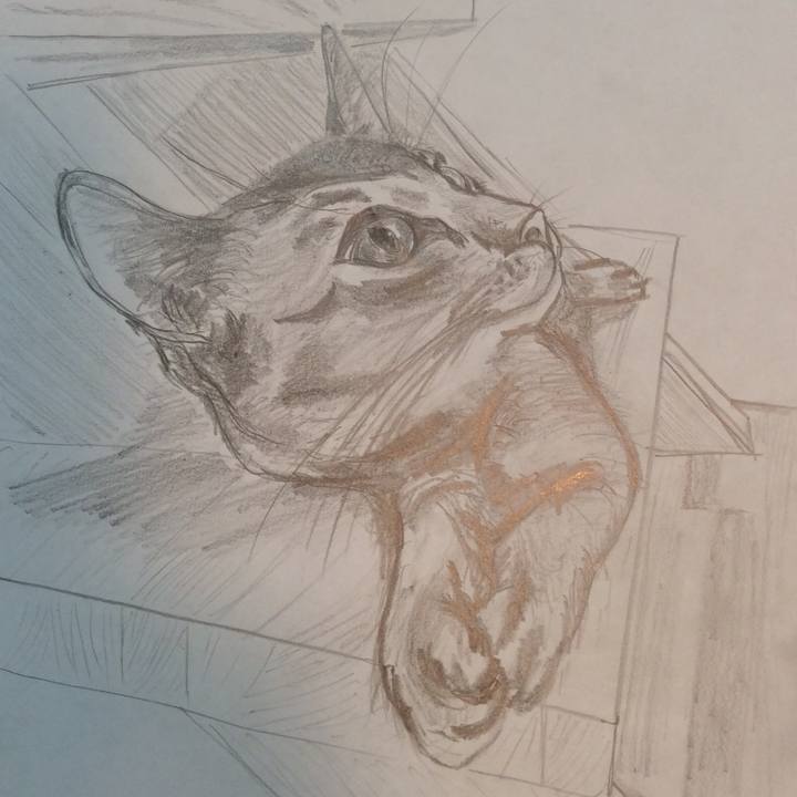 Ef8da673 fb3d 430e 8be9 b535705d0580 1570437633899