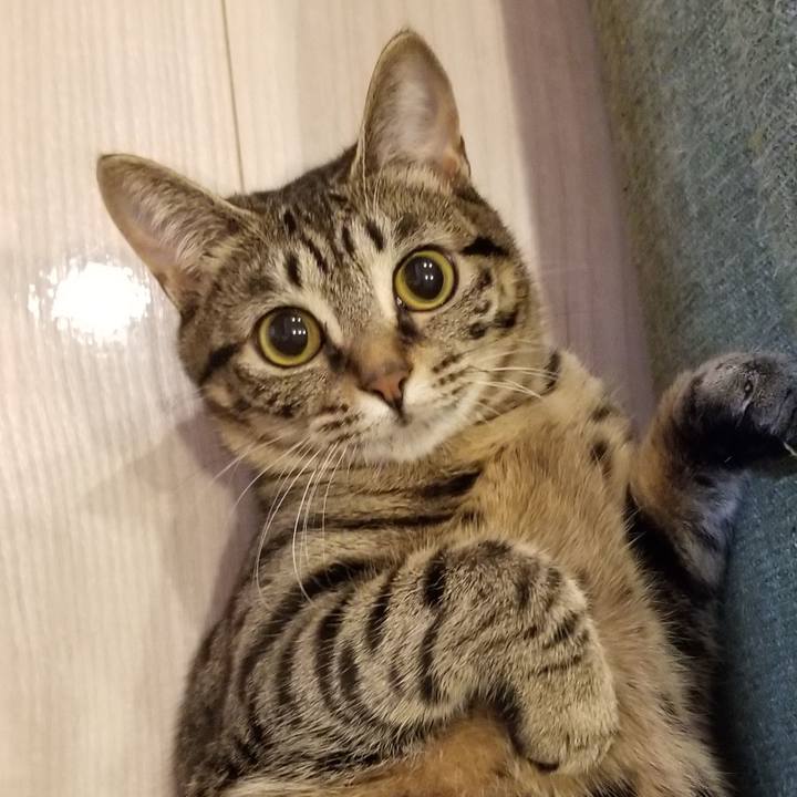 Ef8de0e8 375b 454c 9872 a04f4552a8c1 1562294904531