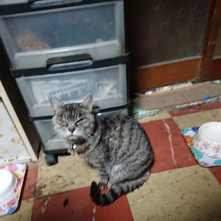 Ef8debba bcb2 437a bf1c 289d82171f42 1575316473008