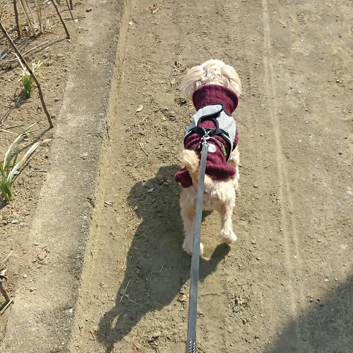 Ef8dff6a f134 4695 87a7 b5bcf669433d 1519448482579