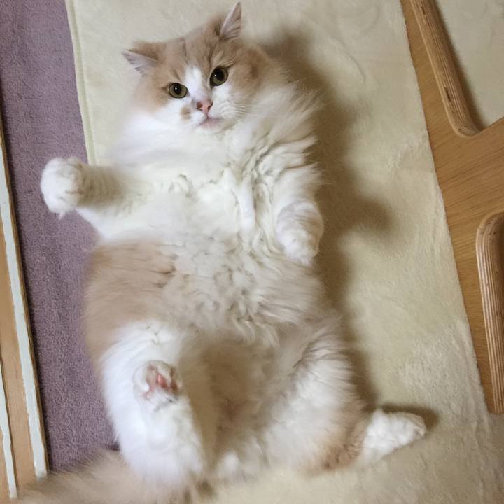 Ef8e0a35 05db 4ce9 93f4 8eb2dc2f25d4 1557497705260