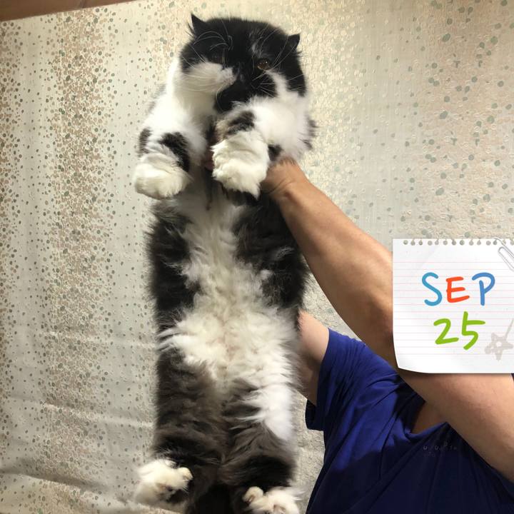 Ef8e0c47 9fda 4e8f 90f7 66d47ff1d385 1632571488051