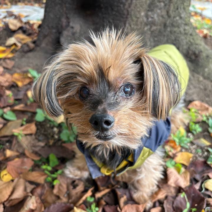 Ef8e0fb0 ca7c 48b2 be74 363bc1550b6c 1763270290789