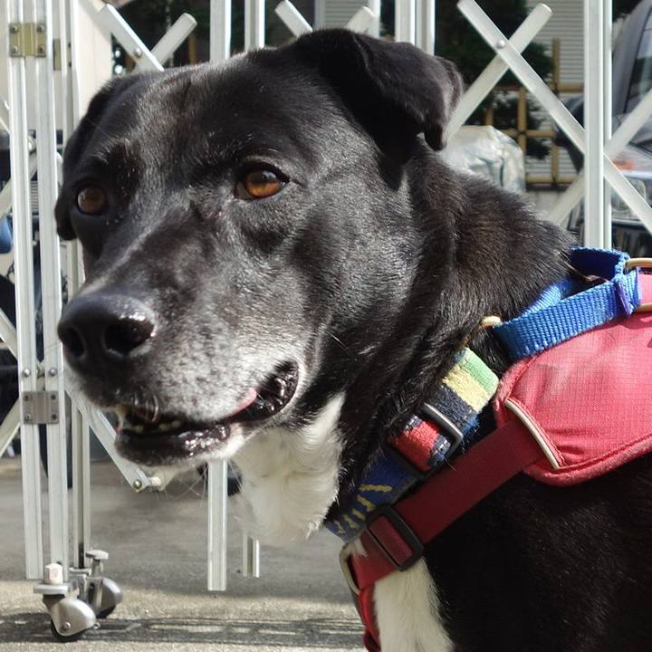 Ef8e2206 b2a5 4901 91e3 2894c4a4edd7 1685580762582