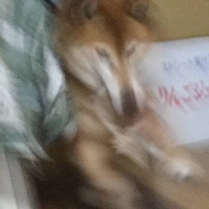 Ef8e3e98 ab87 4dc8 b7e1 0e2df183c0cd 1615606457557