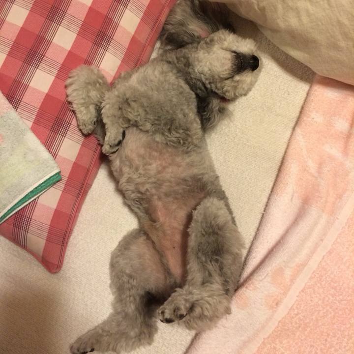 Ef8e568a 45ca 461e 96e4 2c58dc45c737 1767105766043