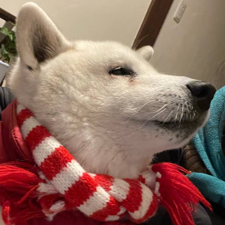 Ef8e57f4 d1ac 4bf7 828c d2fd13391d09 1735044358376