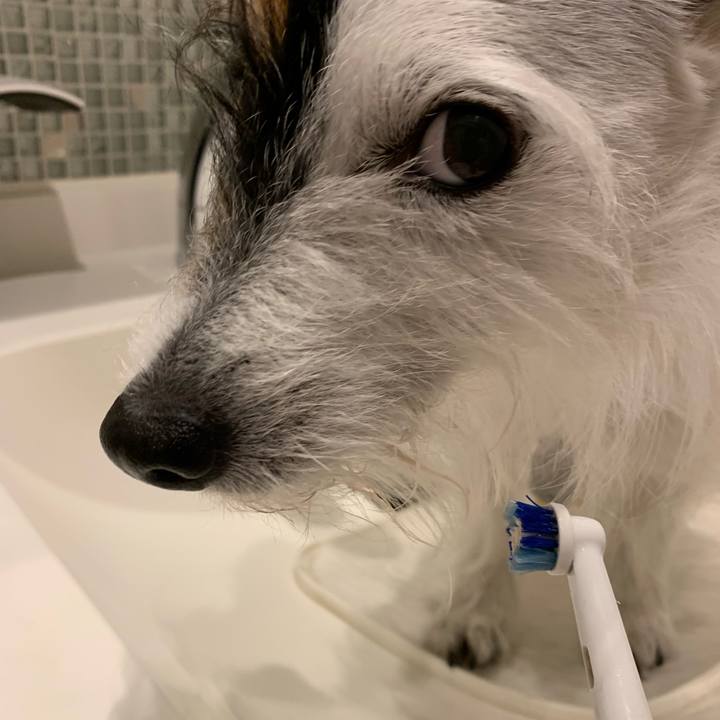 Ef8e5f86 b2fd 4de5 aceb a3ae78450788 1676636169700