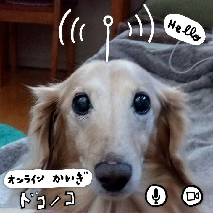 Ef8e5fcc 461a 4f17 83c3 7328a216ddcf 1590846298442