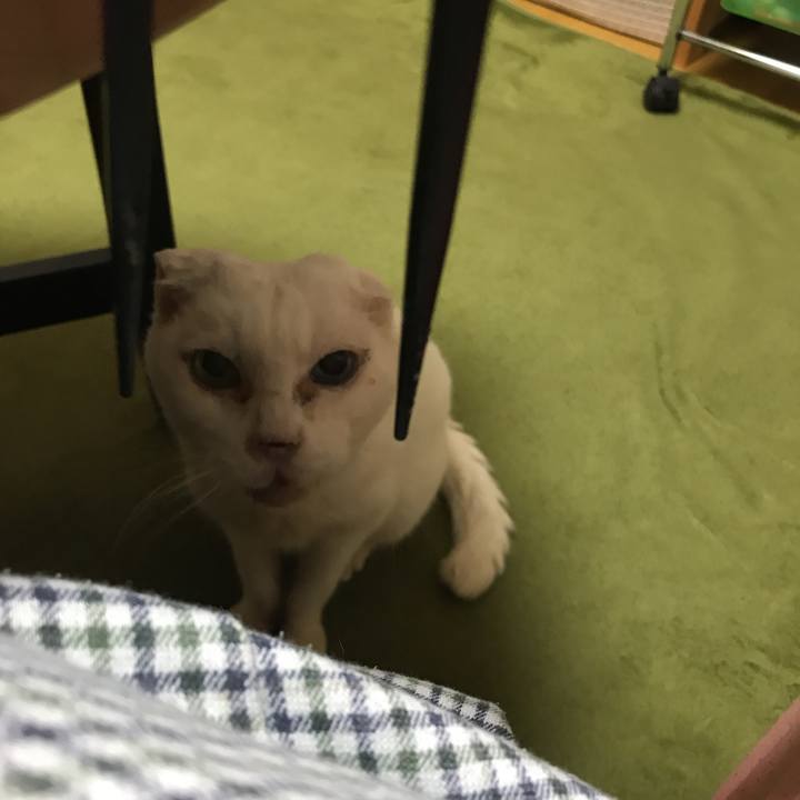 Ef8e8148 f585 4387 9483 c2ed722b002a 1522922974530