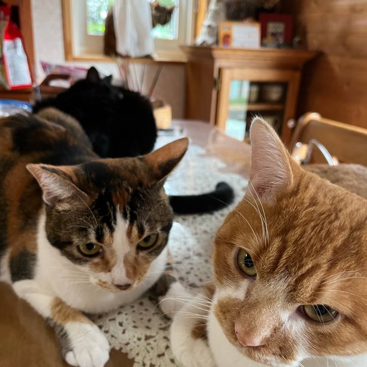 Ef8eea4d 600c 487c 94e5 4d08b02ec491 1691452230174