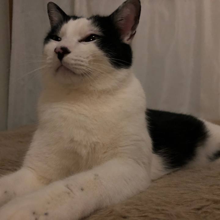 Ef8ef621 09e8 4462 b324 043bc7c53f4f 1552156242374