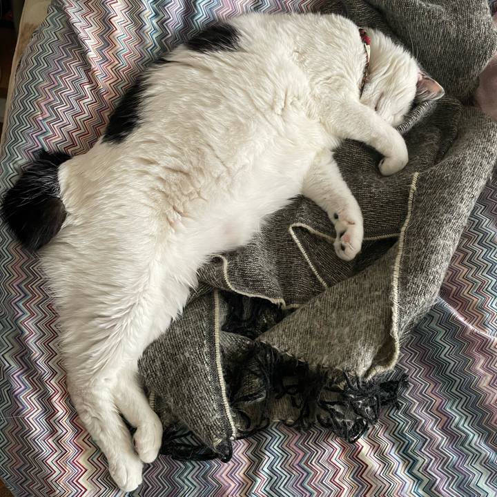 Ef8ef9ca f2b6 42f5 aab4 7c809938caac 1651990411169