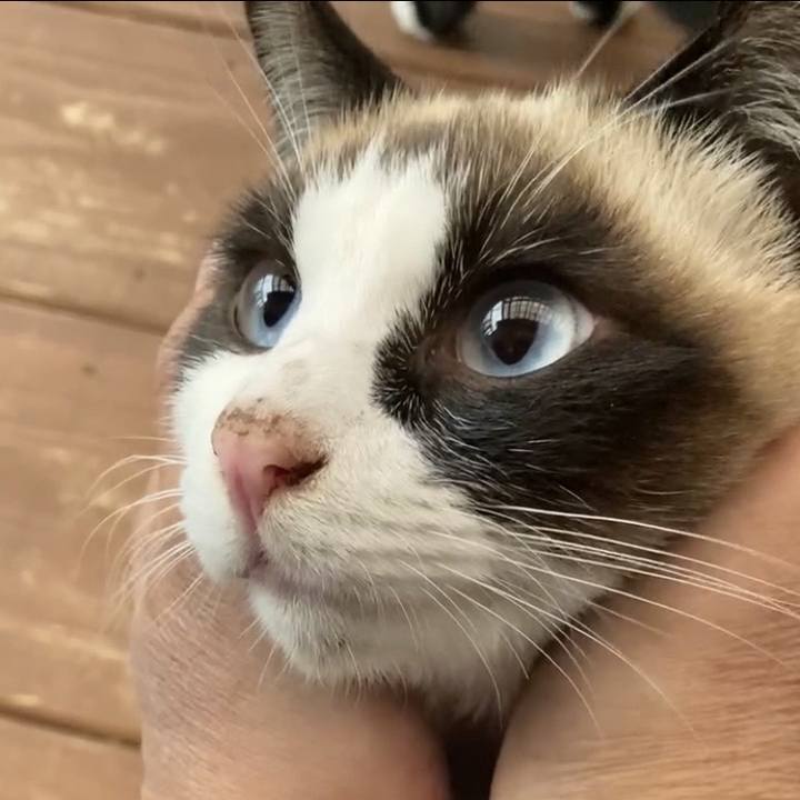 Ef8f4d35 2a77 4621 b498 e16ac0d91c71 1730660511800