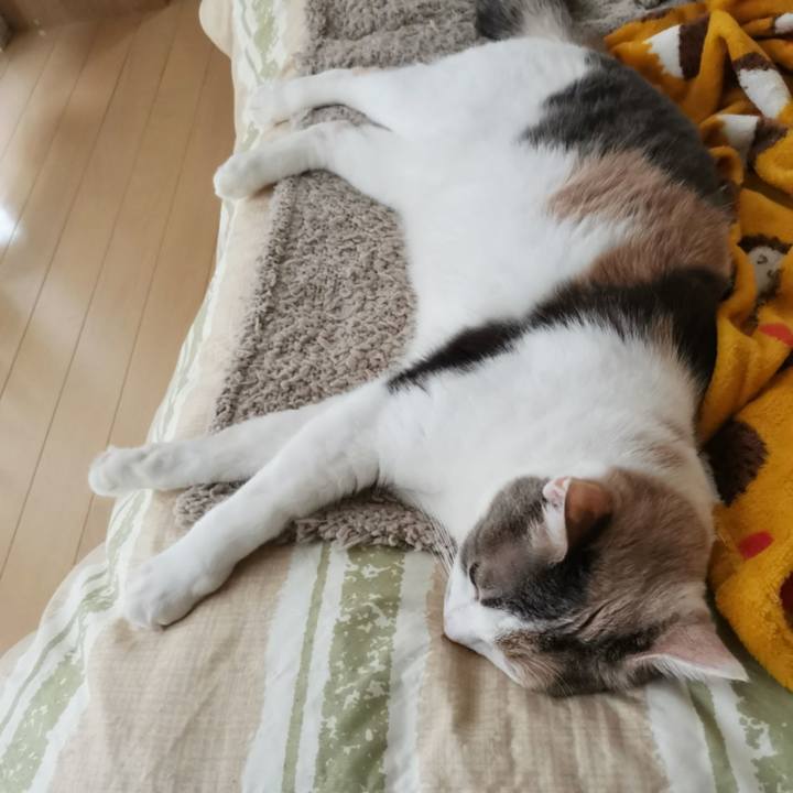 Ef8f4e59 d3fd 4fc2 be35 ca1b97057d4c 1650695804965