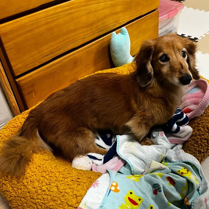 Ef8fd582 22e3 4a74 b6df 0761eebc67c8 1669381373756