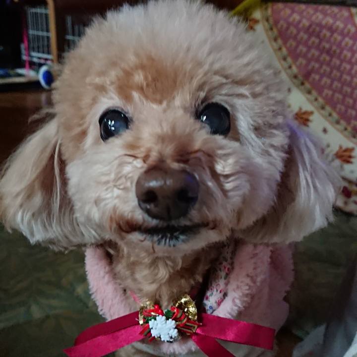 Ef9019be 193c 4acb 855c 2dbe070d51e8 1608246923812