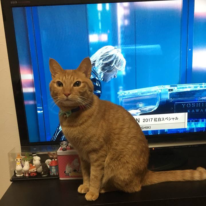 Ef901f66 a65f 4a4d b02c 5e5b956f5199 1514726283906