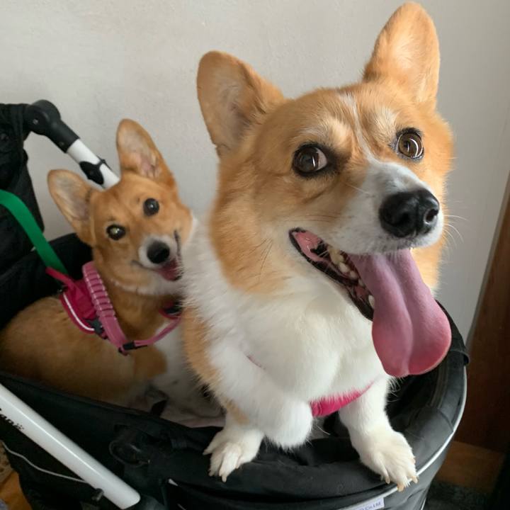 Ef90263c df88 4ff8 89e5 64bb20793e47 1627953785762