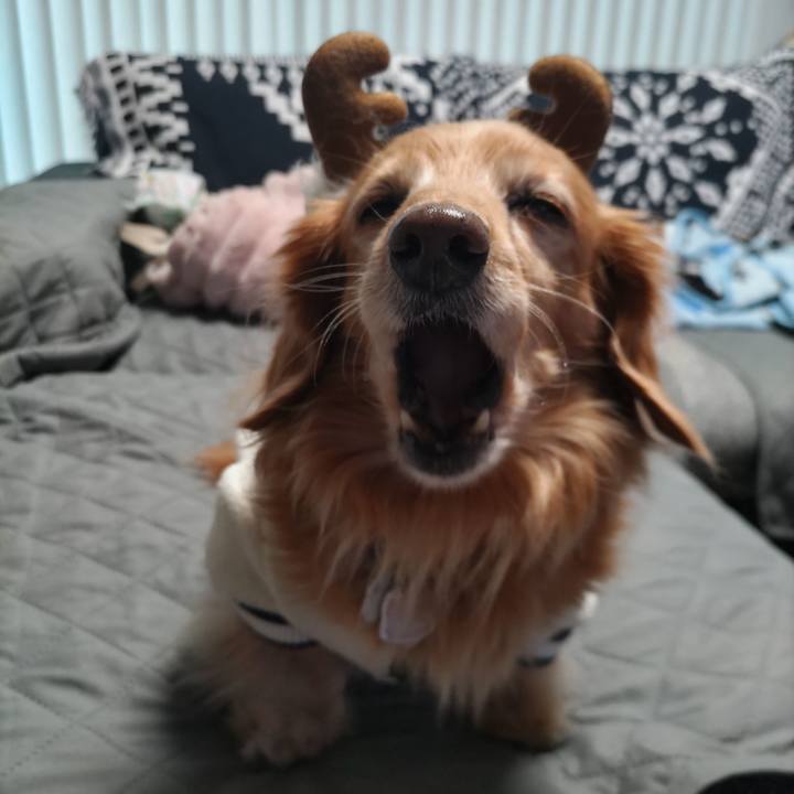 Ef90579a 7f80 4938 9b7e 1d341215bd8e 1765520548169