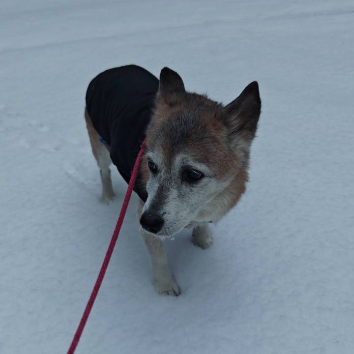 Ef9070ba f837 45bb bf8b 19609cca3572 1767343018262