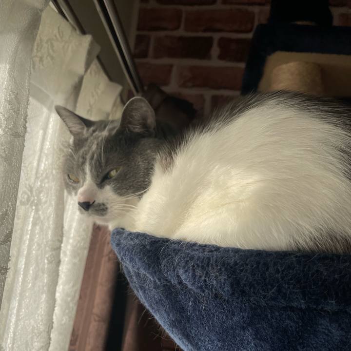 Ef90970c 66f9 42cf 92b8 f2881117e0e2 1669331438823