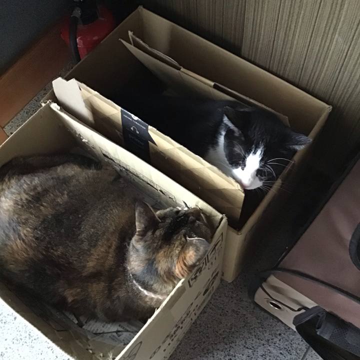 Ef90a73f 672b 4de3 b45a 8589314fa40b 1693305739030