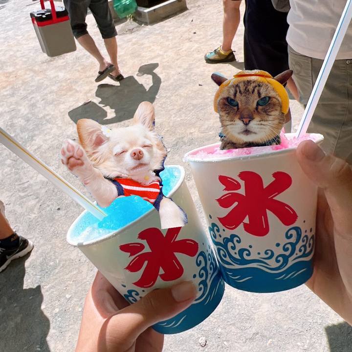 Ef90be5e 8650 4982 8e74 4c6aef0902c3 1660394130423