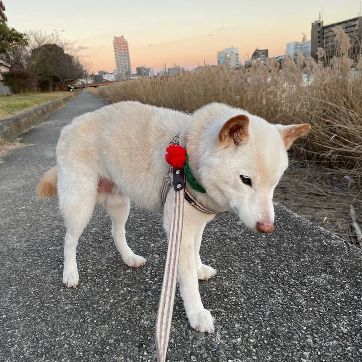 Ef90e6a7 b93d 4661 9079 3f2e296f9d67 1639390399506