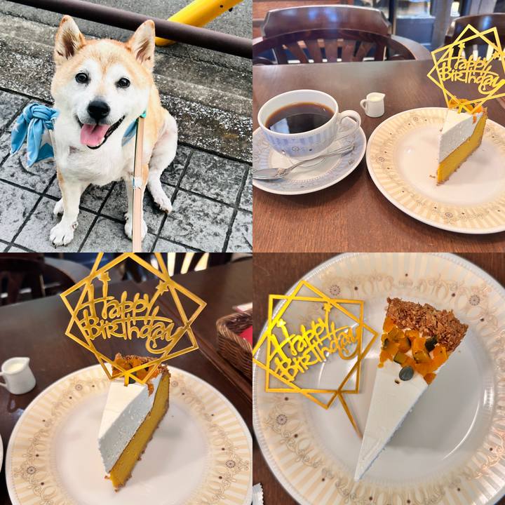 Ef90ef15 4c5d 47da 97f9 2fc212ca9538 1759289153492