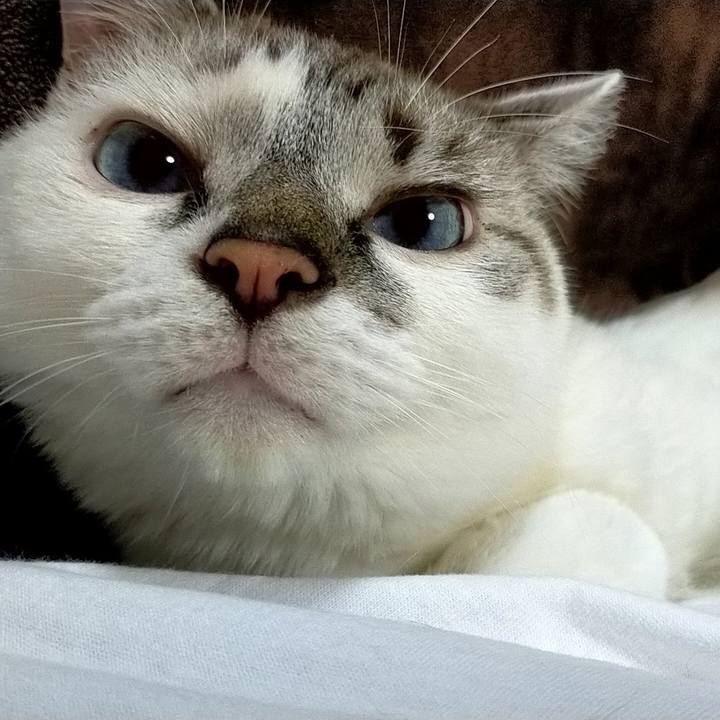 Ef9111ac 52d5 4ce1 823e 0153c4ffd118 1600691459951