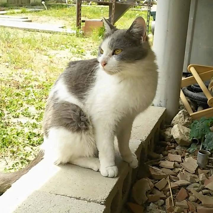 Ef9112db a080 4e0e 8dc5 c07997a0c7c3 1557630743008