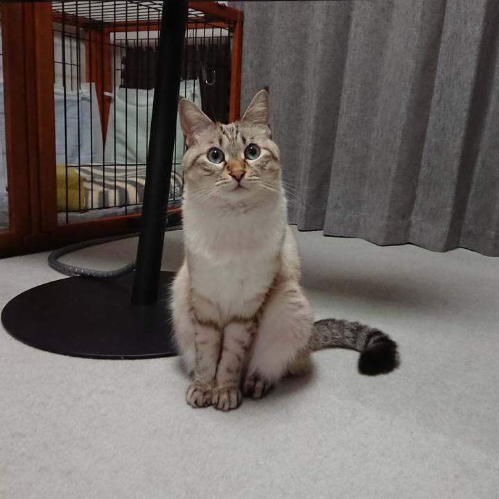 Ef91133d 4057 49b8 af07 ab1a8e151a9f 1603455247840