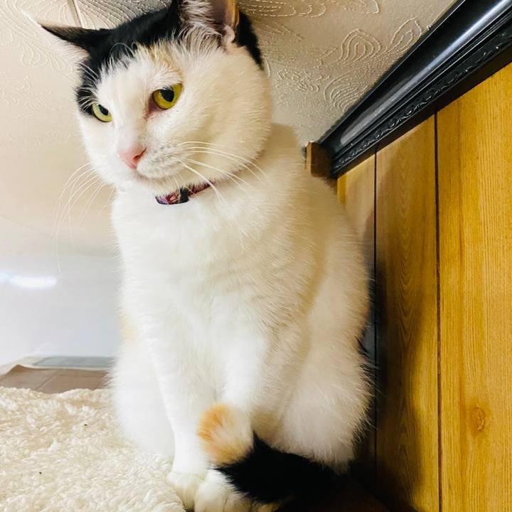 Ef913ab2 63ef 4c73 83ac 33b631eee746 1681737674706