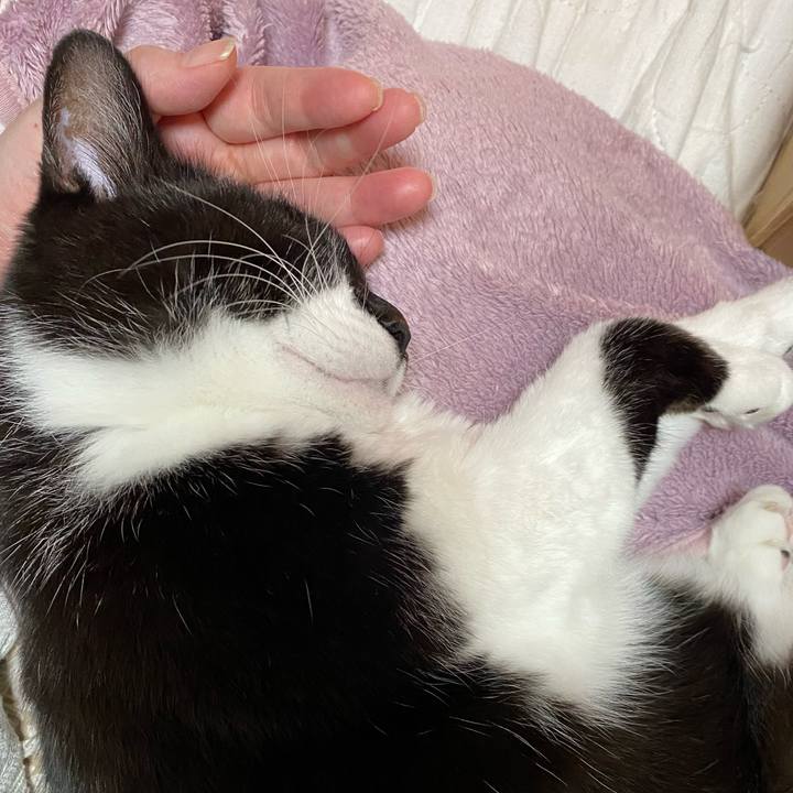 Ef9197f0 cbd5 4f16 8033 10f8433800bf 1641389246139