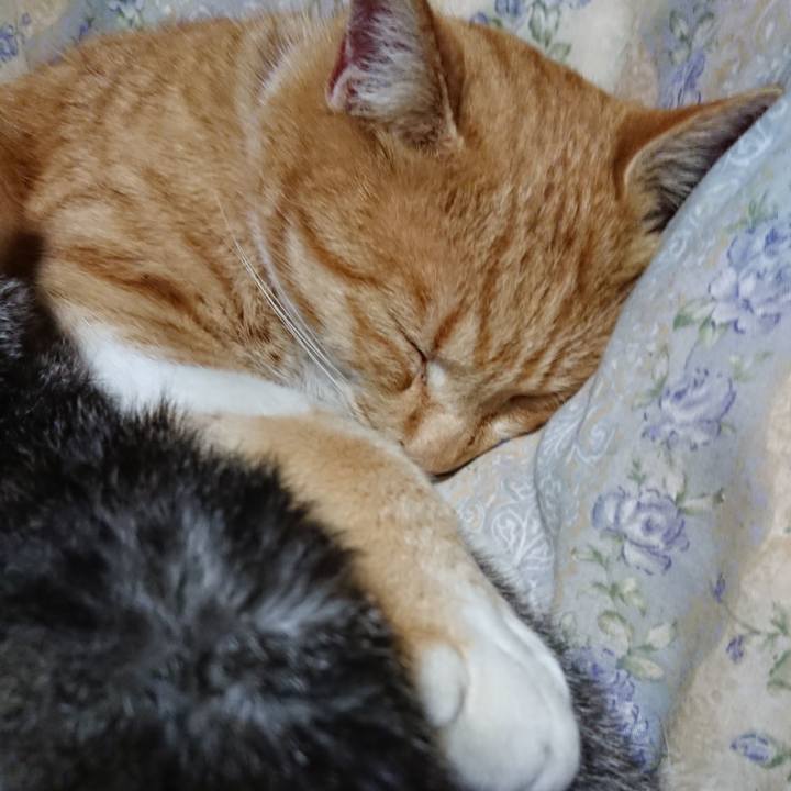 Ef91d593 5446 49c7 a0eb 53304b16ef71 1575377308791