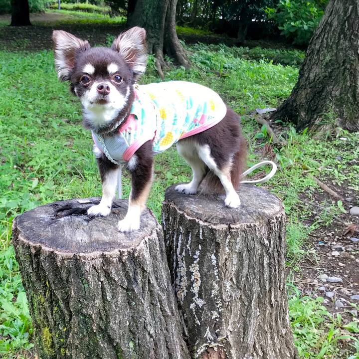 Ef91e6d8 19b3 4eda b70d 21b82c436b69 1595128405410