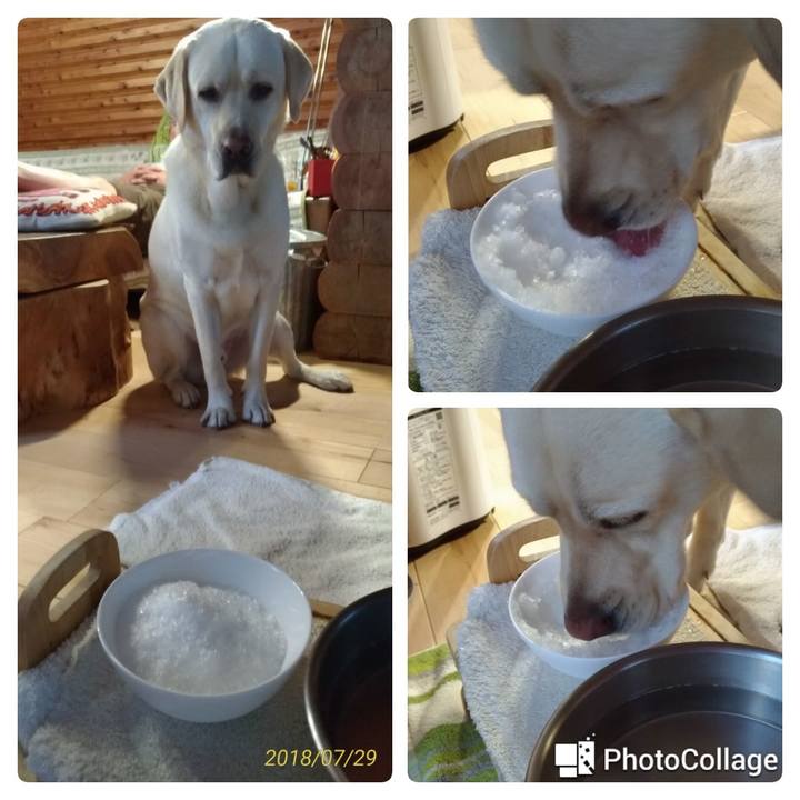 Ef91ecf6 bb77 4587 87f2 948f47c98a5d 1532854336189