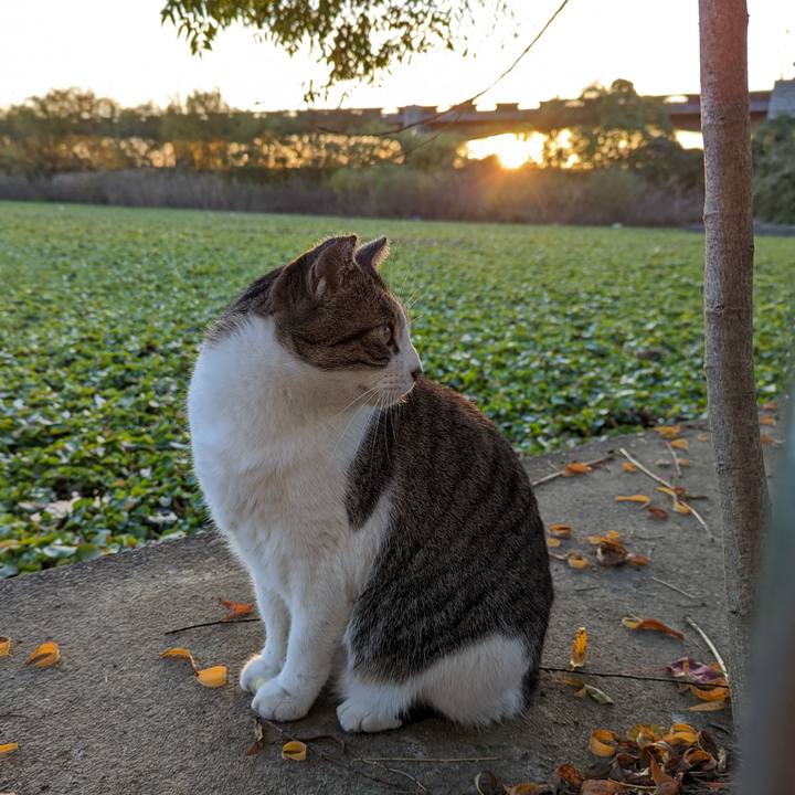 Ef927338 2f90 4c19 a51d 5fa2f1792048 1669365369081