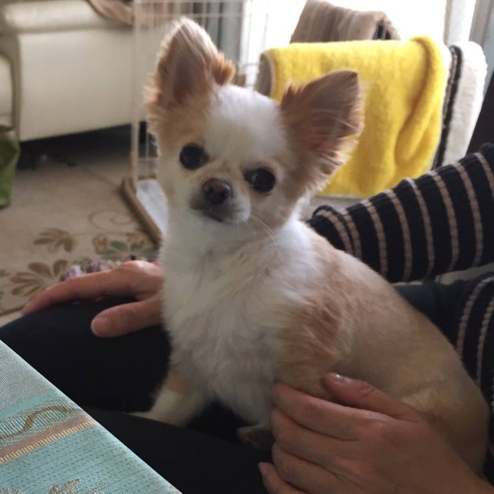 Ef92d056 33f5 4a72 83d5 c2925754835a 1585405375995