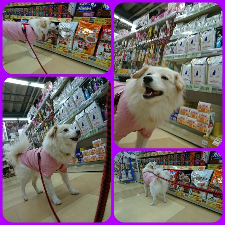 Ef92d120 d872 45b3 bdfc 0c2c301de4f6 1514239521910