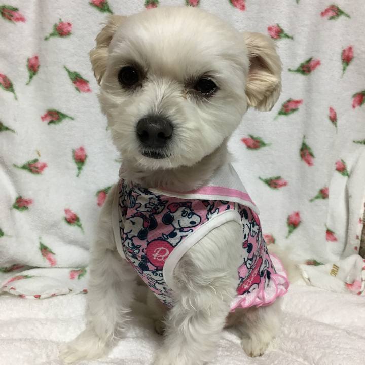 Ef92e724 b8d8 4a07 a90a 5a733e97c55b 1508574403238