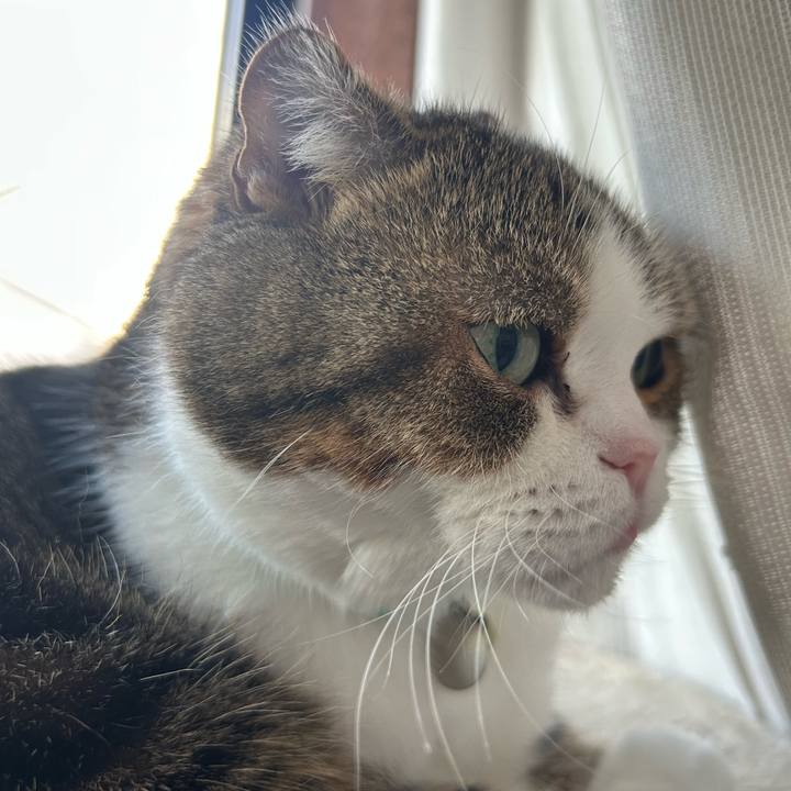 Ef92eb3b 5eea 4a4a b7cc 52e6dc9d0555 1759356008679