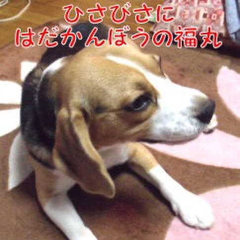 Ef92ebae cd12 4158 9af6 66450f93fb1b 1707350748790