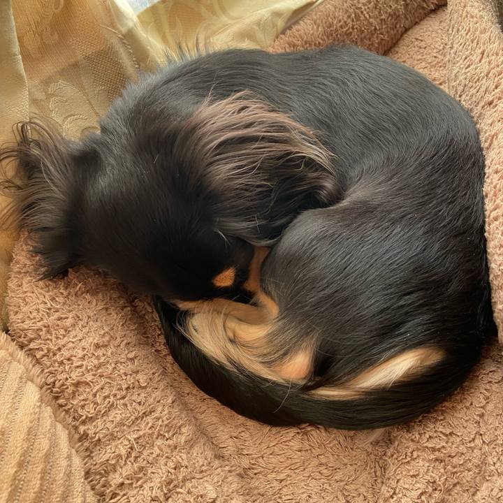 Ef92f8dc fd7b 4264 b86f cbf461f3251b 1701236647282