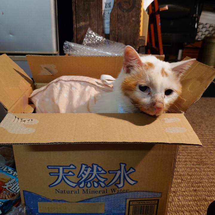 Ef92fe1e 9d27 4cbb b293 78fc9f5f4a42 1758447685569