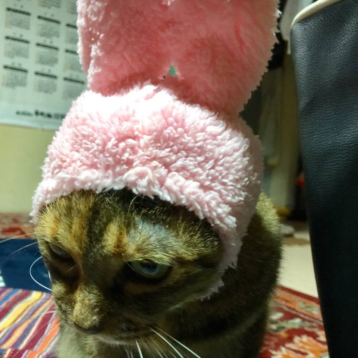 Ef92fe8d 1ad1 4398 b9bc cf81b007e036 1544356670727